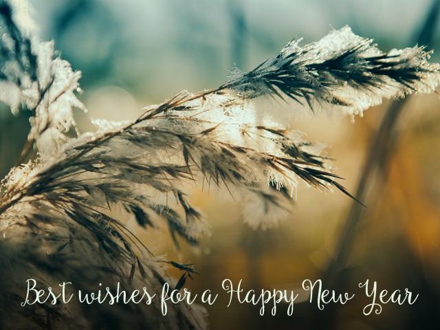 Happy New Year MMXVI