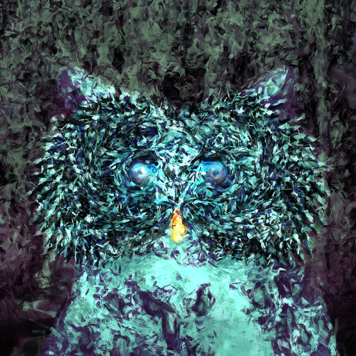 Blue Owl At Night