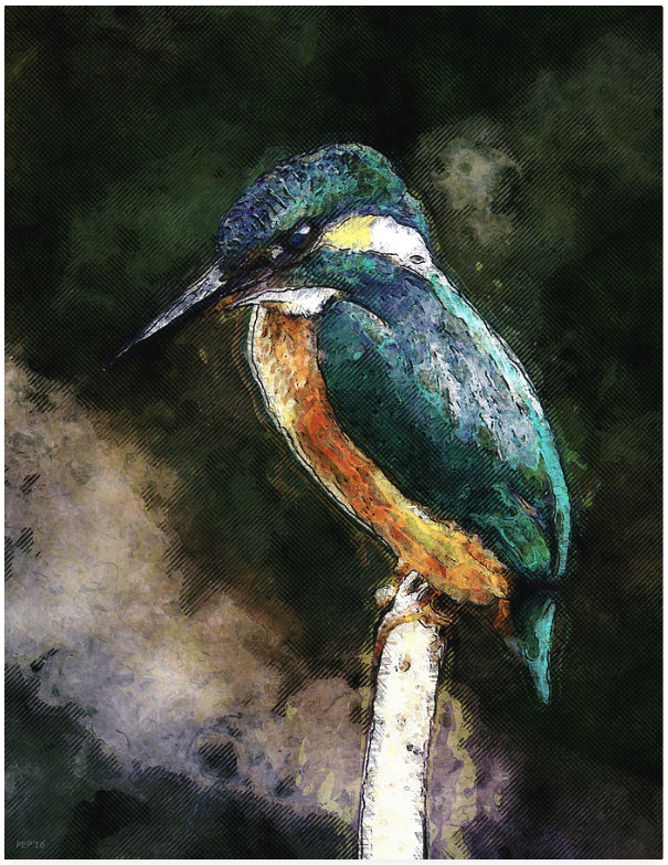Bird On A Branch