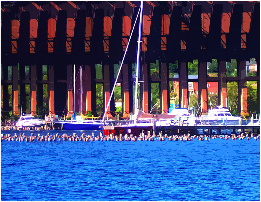 Summertime Boats In Dock