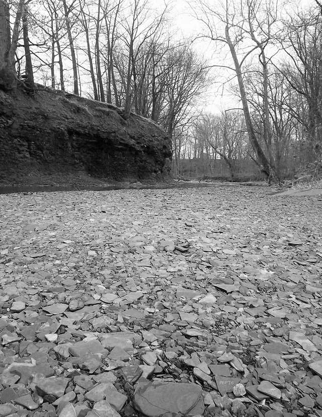 Dry River Bed