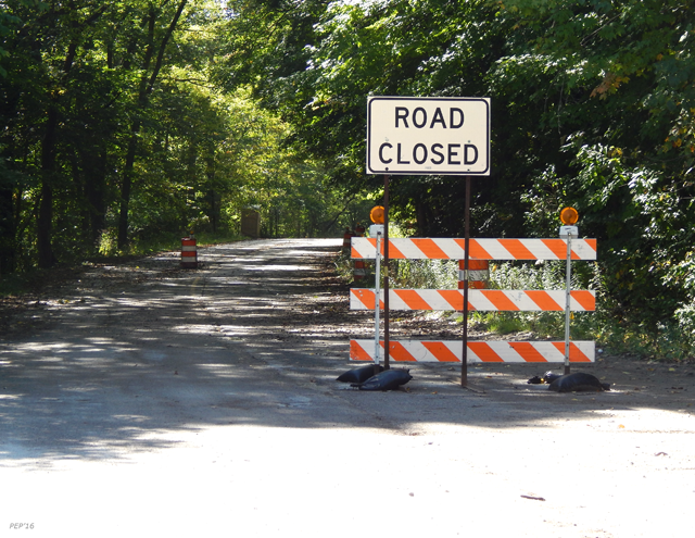 Road Closed For Construction