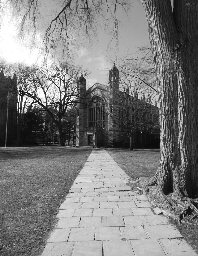 University of Michigan Law Quad