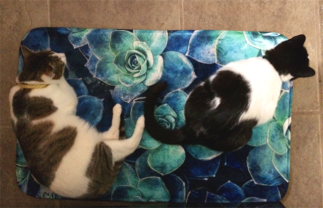 Customer’s Cats Love Bath Mat, Too