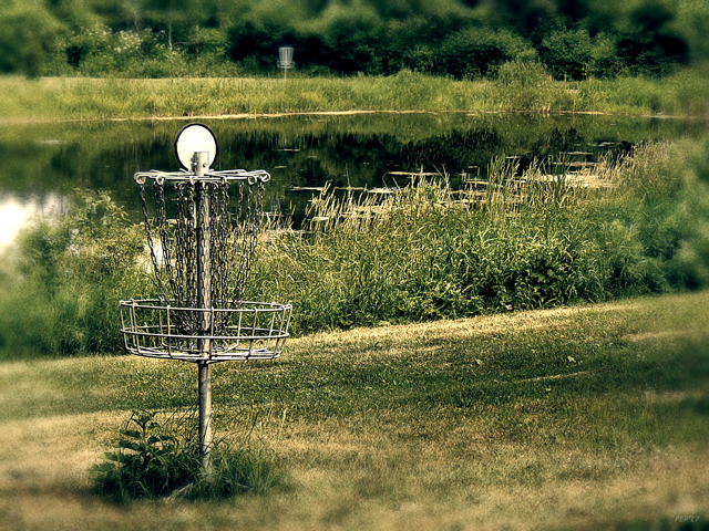The Water Holes