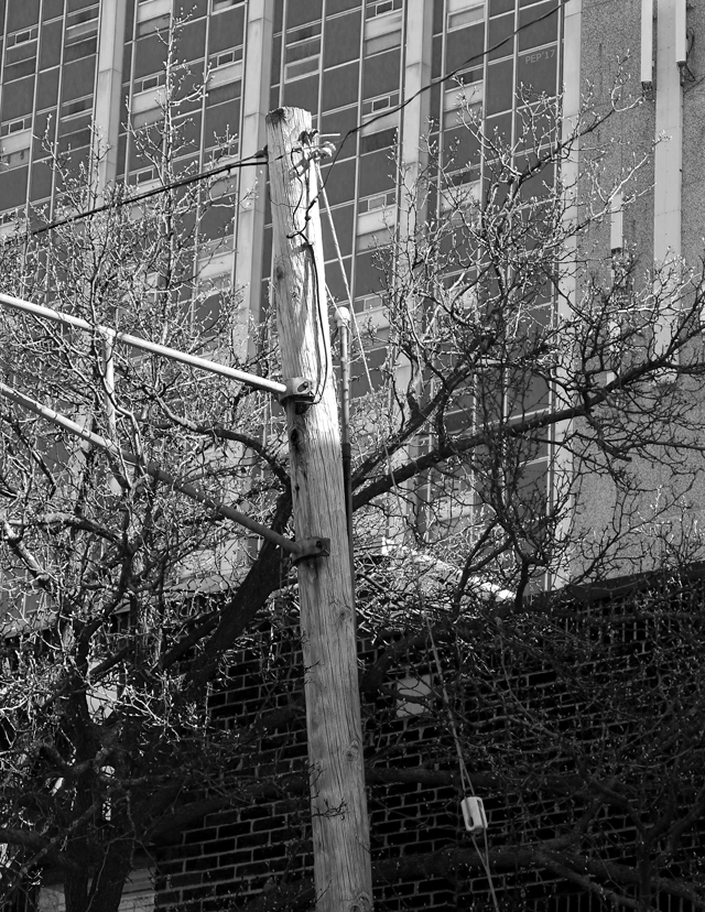 Old Telephone Pole