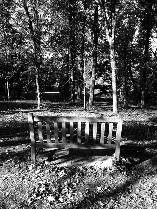 Black And White Bench
