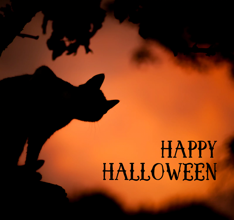 Happy Halloween 2017