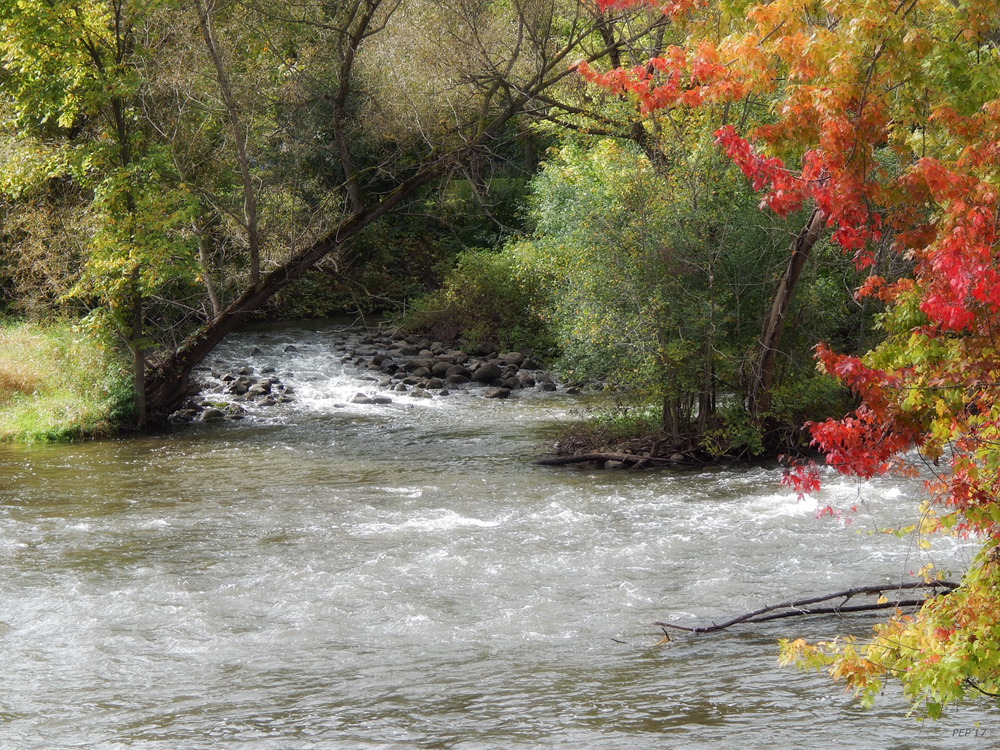 The Huron River