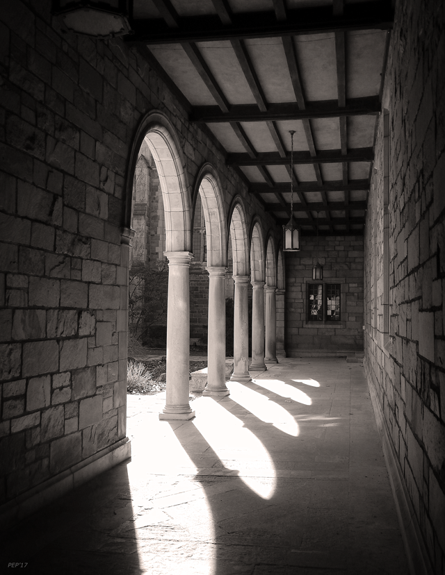 University of Michigan Law Quad