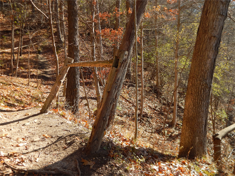 Hillside Fence Posts