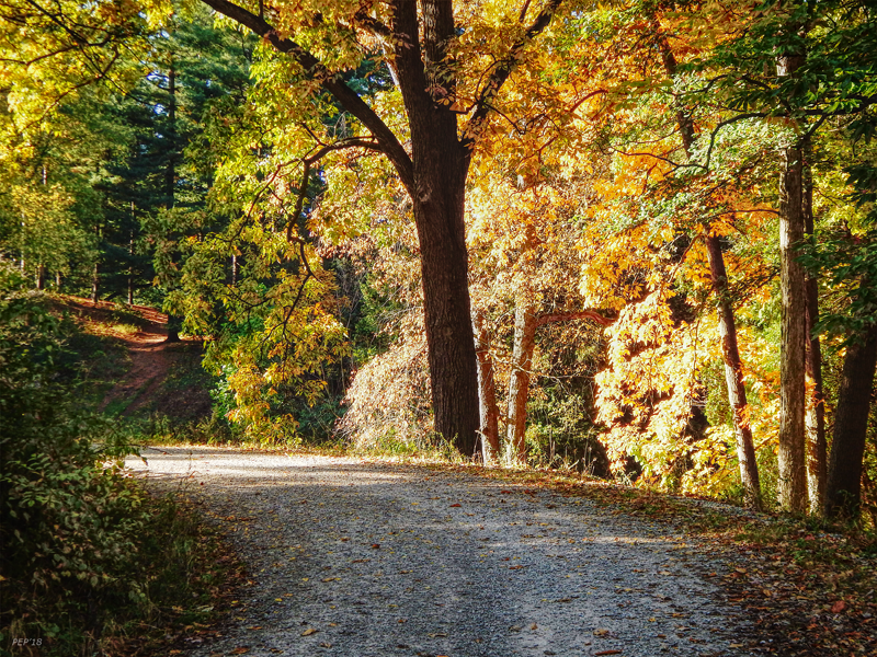 Autumn In Michigan