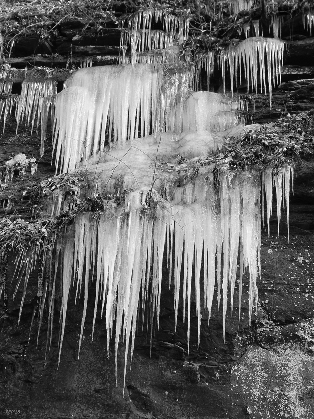 Black And White Icicles