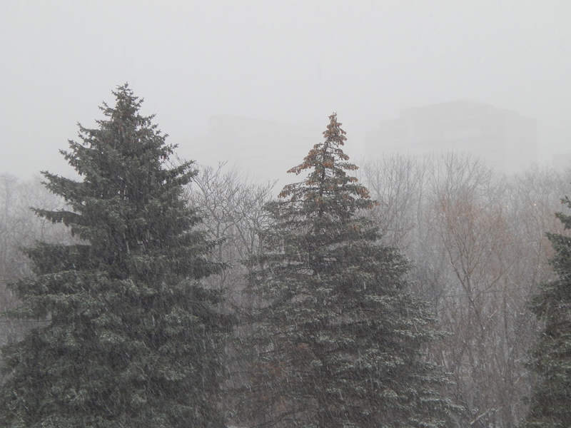 Michigan Weather