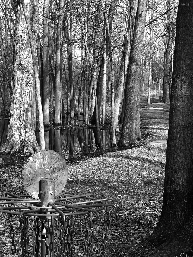 Hudson Mills Disc Golf