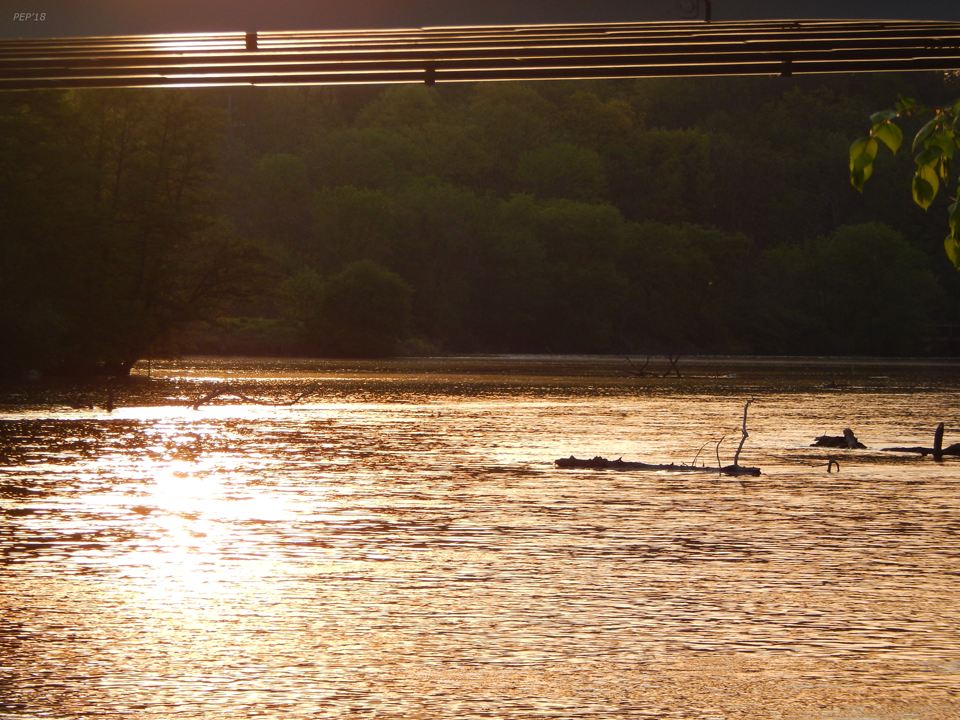 Morning Reflections On The Huron River