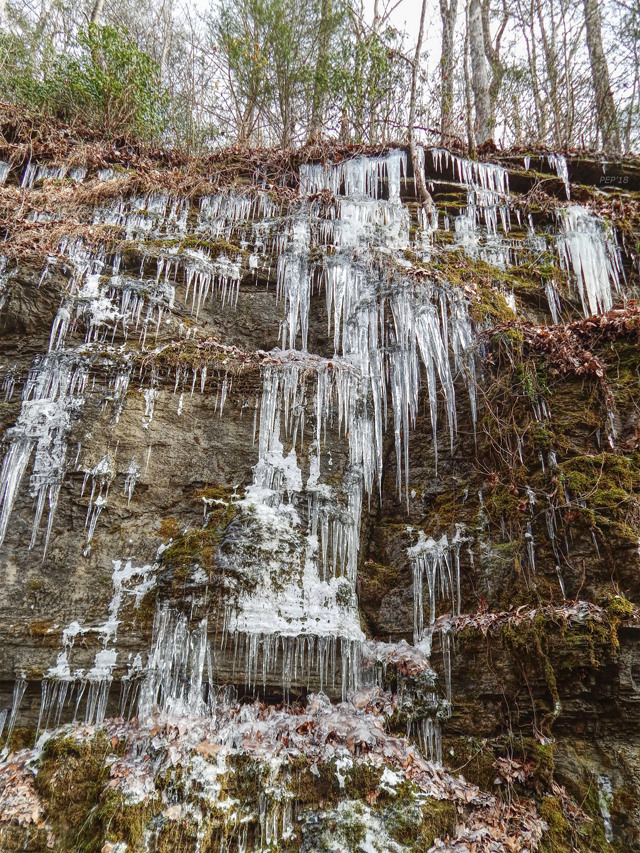 Tennessee Icicles