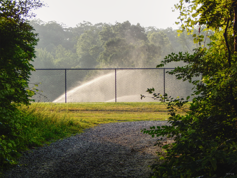 Sprinklers Behind Fence