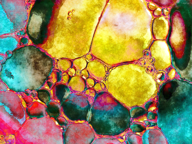 Molecular Bubbles Abstract