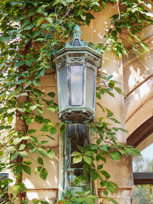 Lantern Light With Ivy