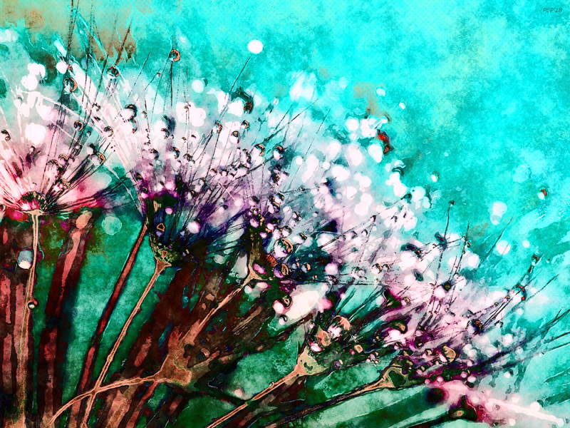 Morning Dew On Dandelions