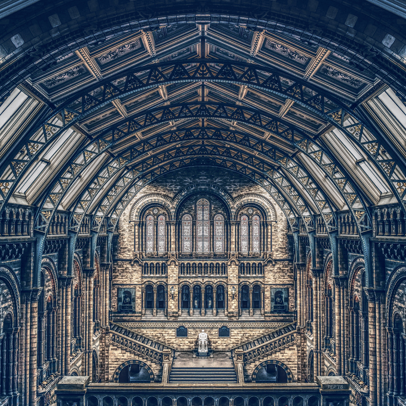 Architectural Reflections