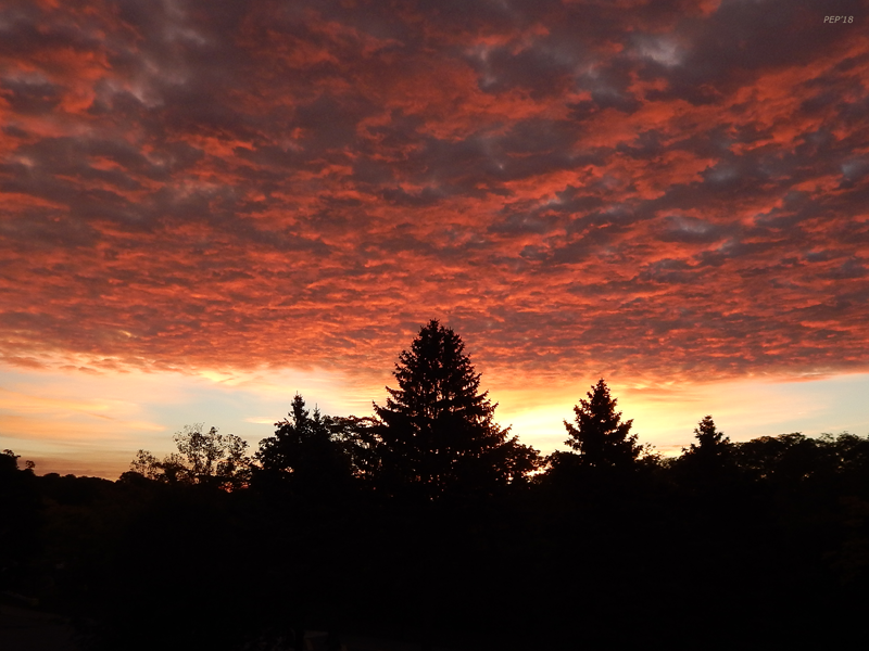 Silhouette Sunrise