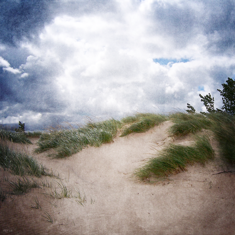 Lake Michigan Sand Dunes