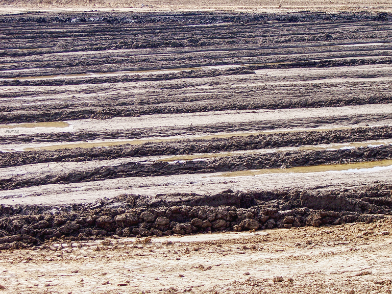 Field of Mud