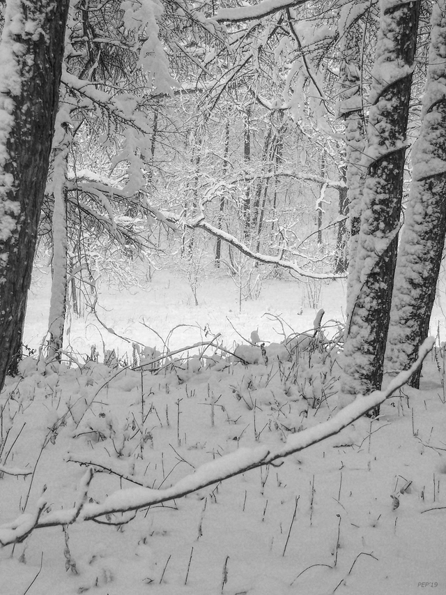 Winter In Michigan