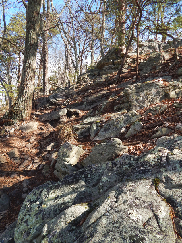 Almost To The Top