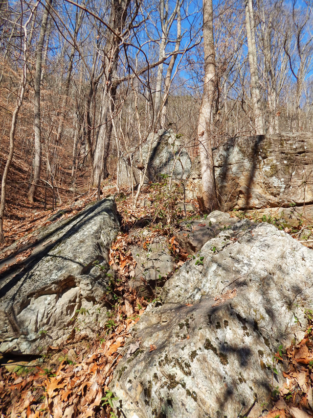 Boulders Along The Trail