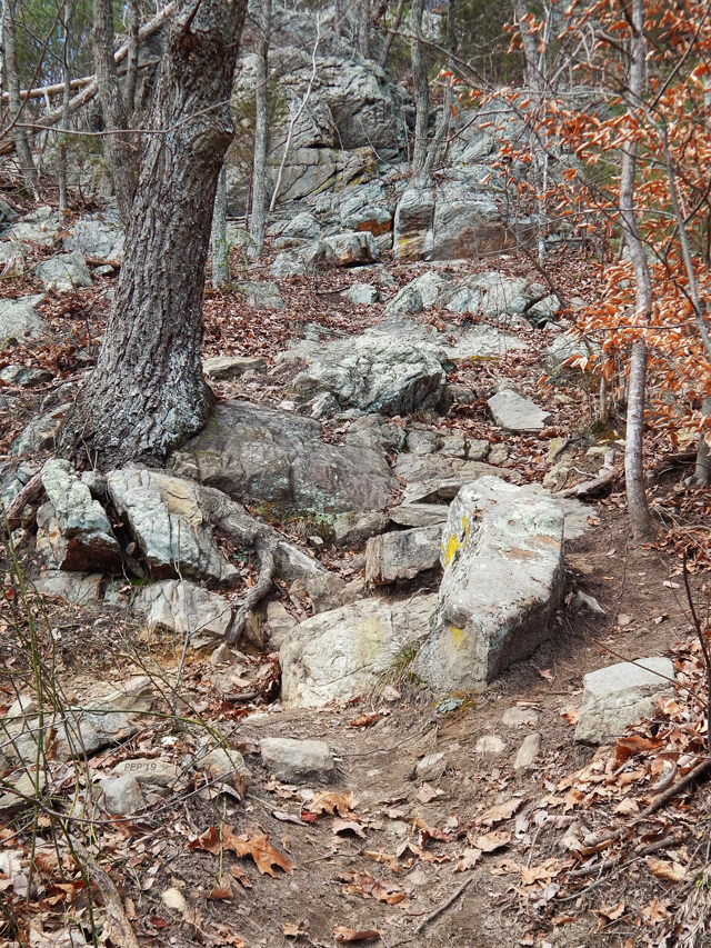 Steep Trails