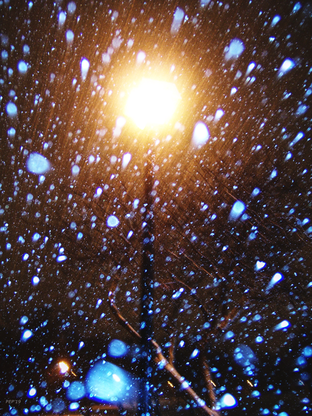 Light In A Storm