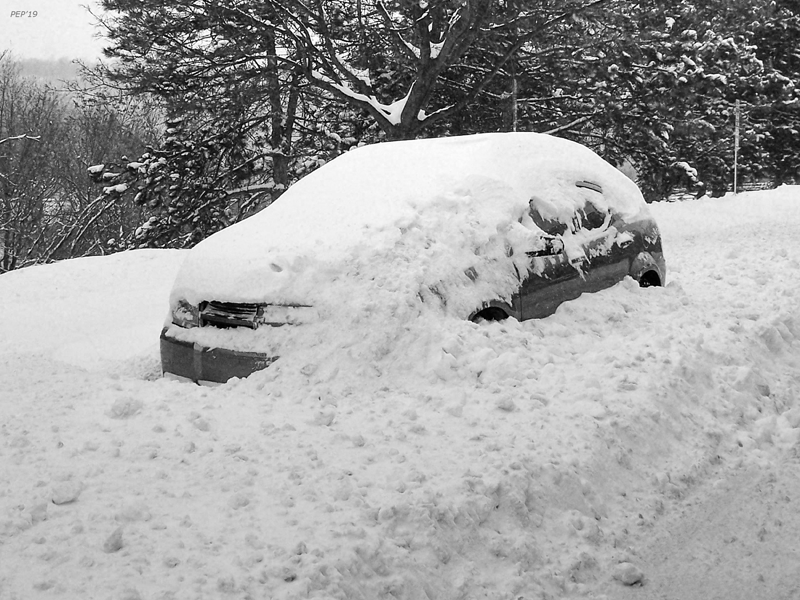 Black And White Winter Blues