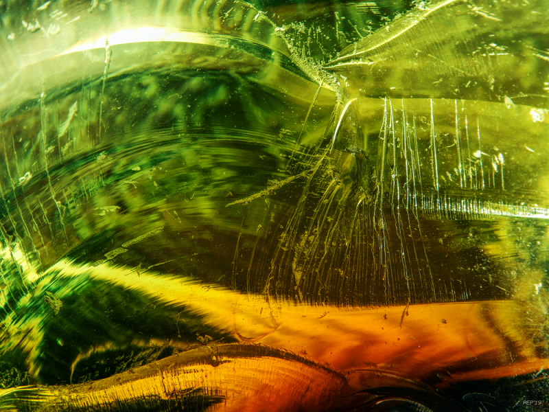 Shades of Green Glass