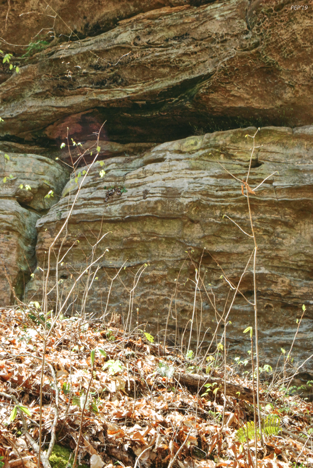 Sandstone Wall