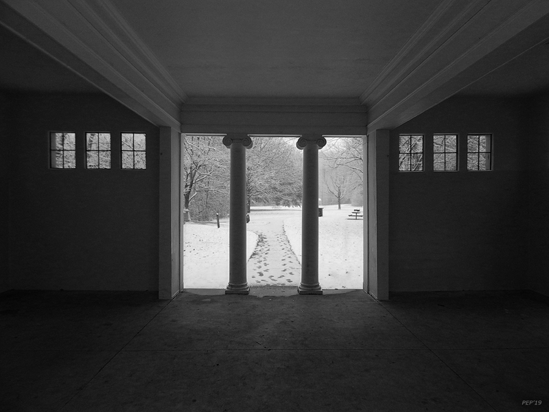 Black And White Winter