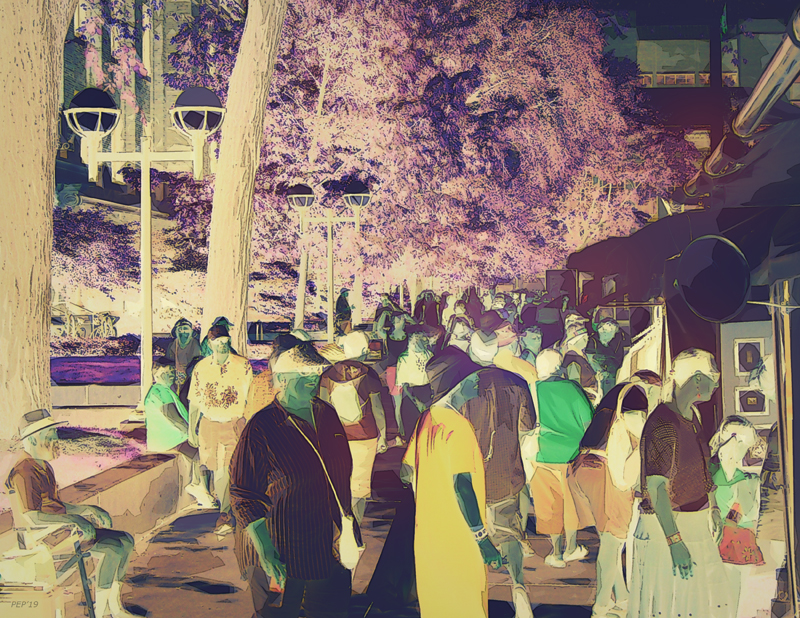 The Art Fair