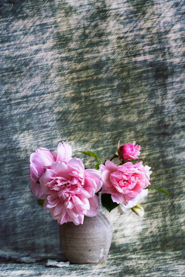 Vase of Carnations
