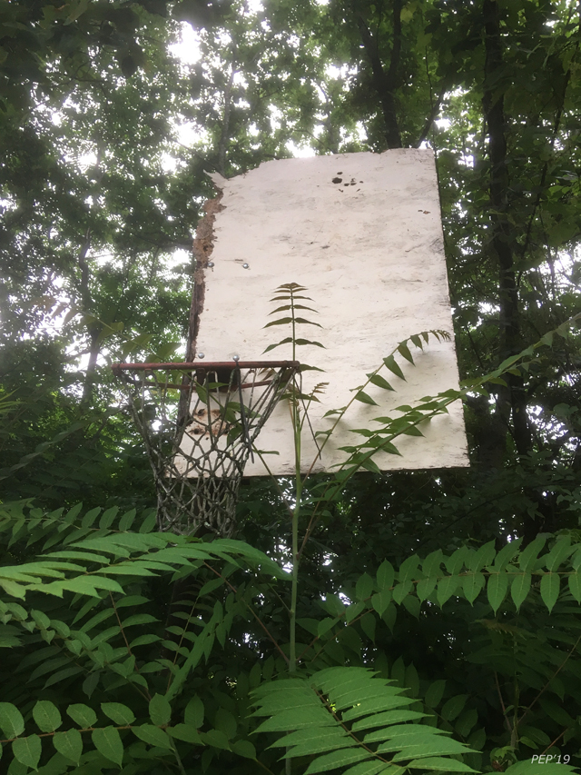 Old Basketball Hoop