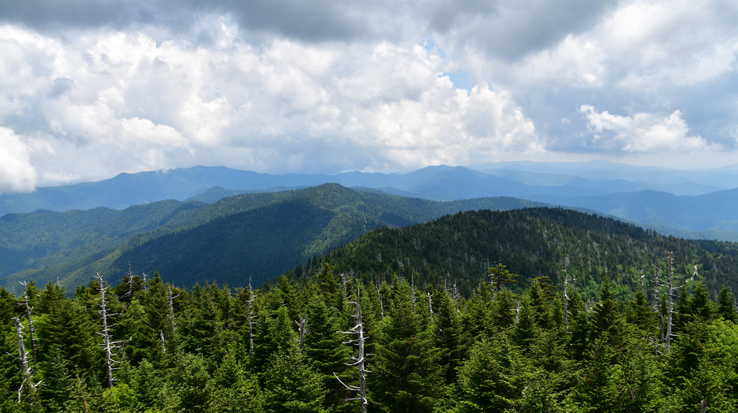Clingmans Dome In The Smoky Mountains