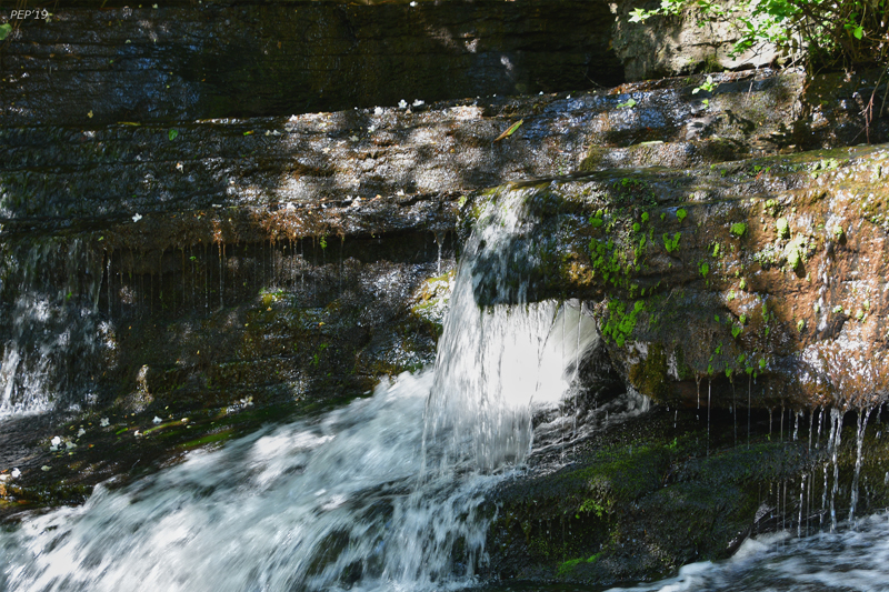 Falling Water And Moss