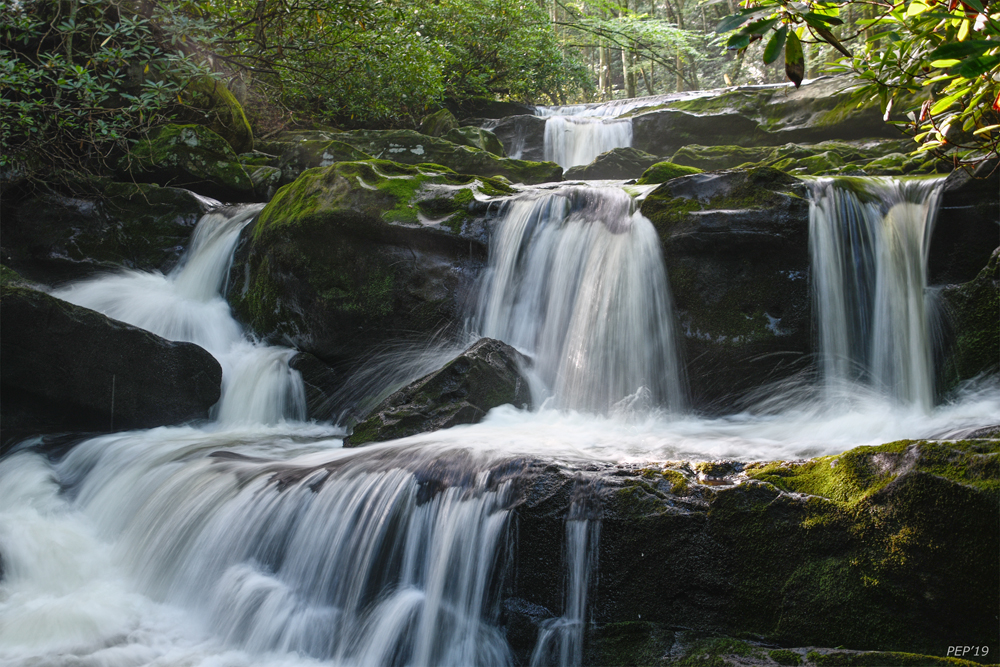 Lynn Camp Prong Cascades