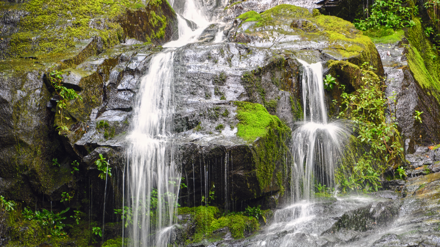 Hen Wallow Falls In The Smoky Mountains