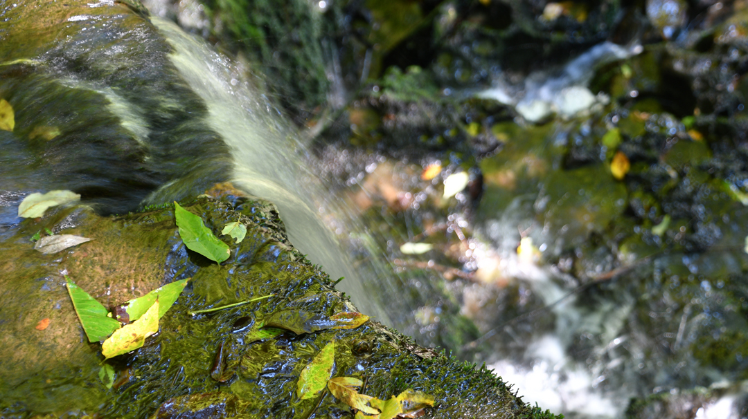 Lost Creek Falls State Natural Area