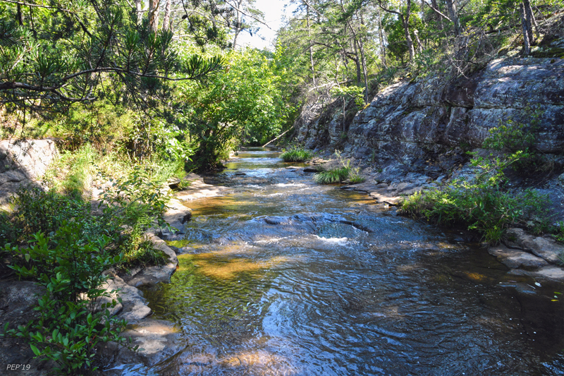 Peaceful Creek