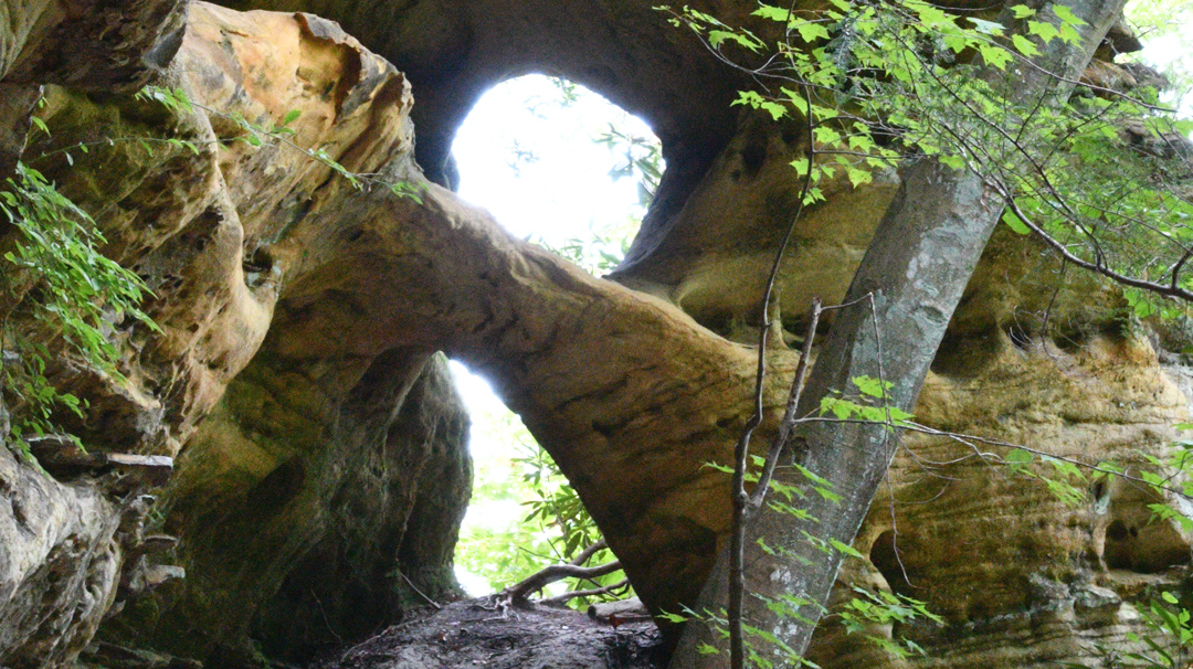 Circle Bar Arch