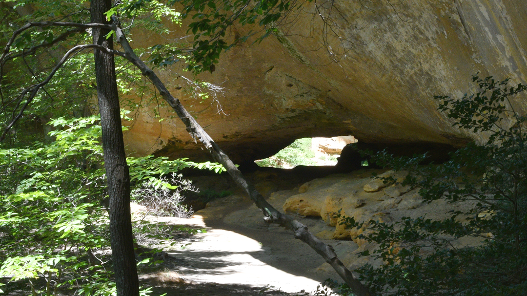 Killdeer Arch