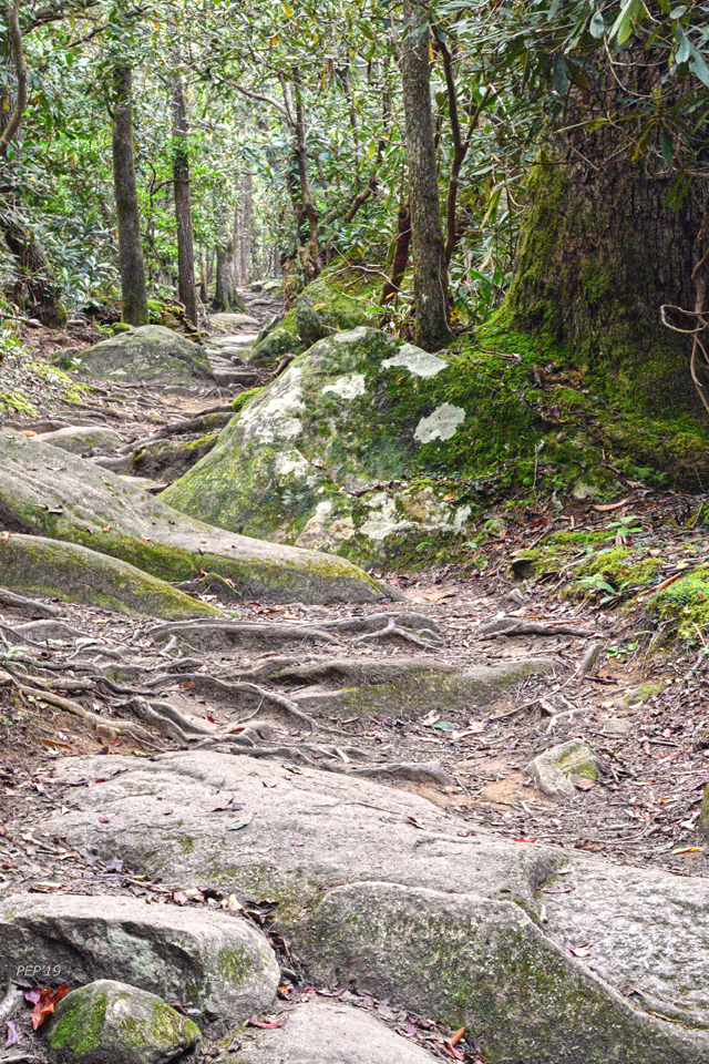 Long Trail To Ramsey Cascades